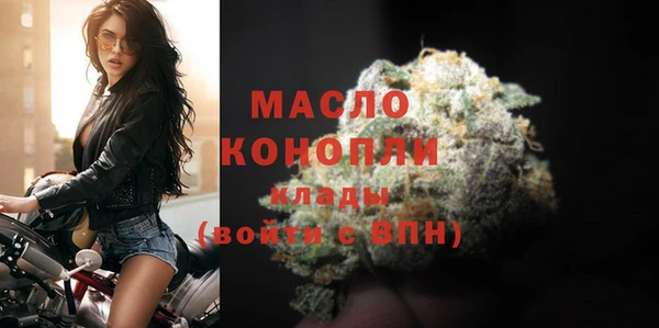 индика Кинешма