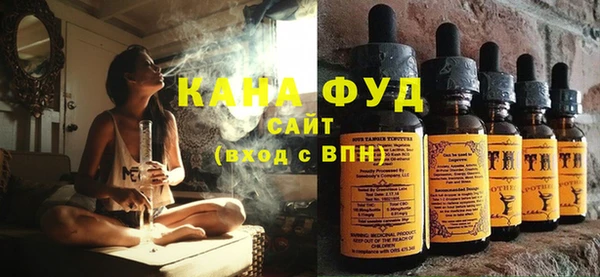 индика Кинешма