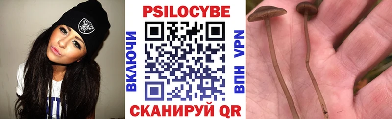 как найти закладки  Агрыз  Псилоцибиновые грибы Magic Shrooms 